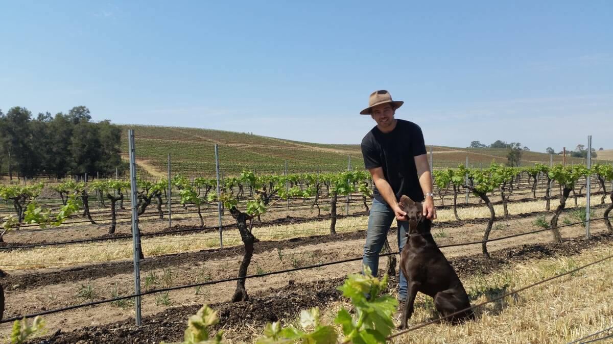Family land: Angus in the vineyard with his dog Eadie.