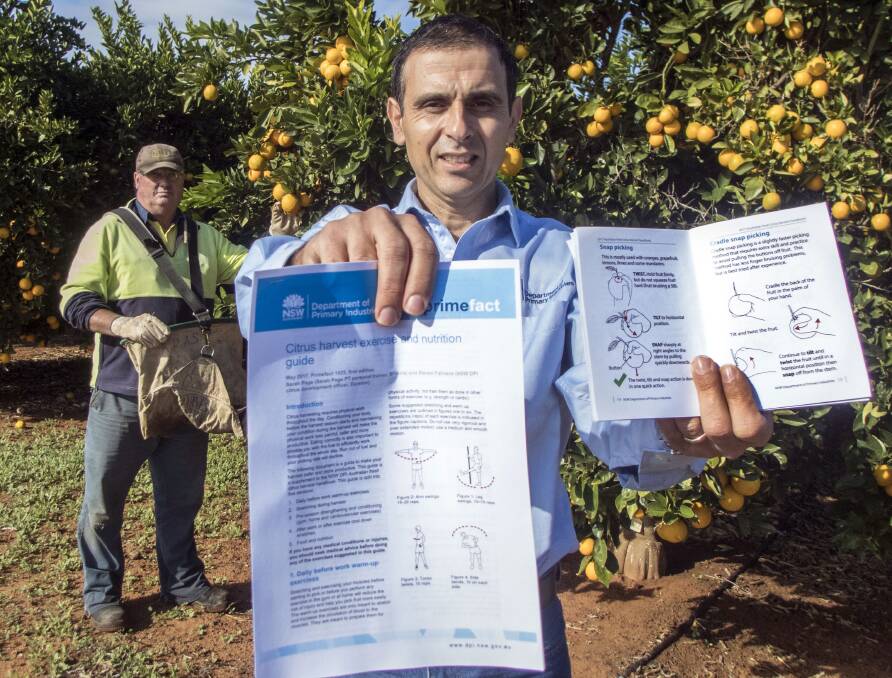 CITRUS OPPORTUNITY: NSW Department of Primary Industries farm manager, Doug Camin, in citrus harvest kit and  DPI development office, Steven Falivene with the new guides which aim to help industry better target high value export markets. Photo: supplied.