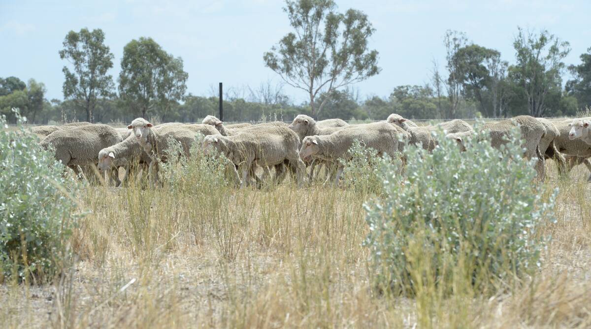 Dry conditions in many parts of Australia pushed down livestock prices last year, but resilient sheep and wool values helped drive up broadacre property demand.