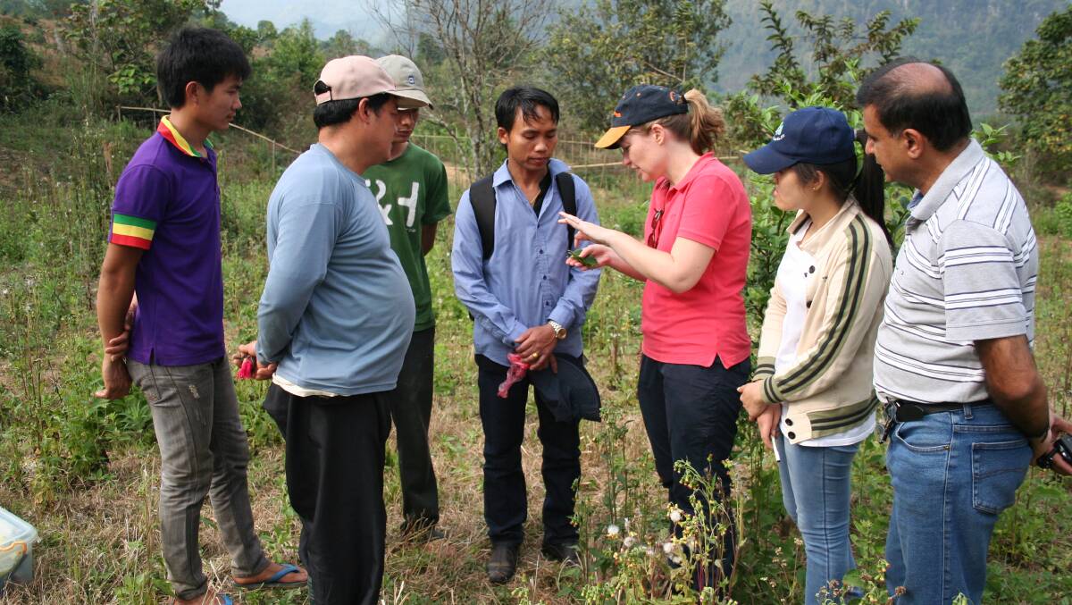 Connecting with Lao growers and scientists in 2014. Picture supplied by Nerida Donovan