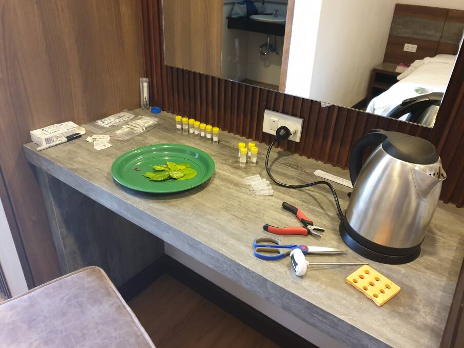 A makeshift lab for extracting DNA in a Laotian hotel room in 2020. Picture supplied by Nerida Donovan