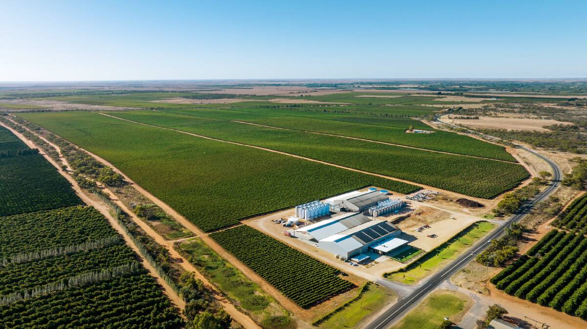 One of South Australia's biggest wine companies has collapsed. Pictures supplied