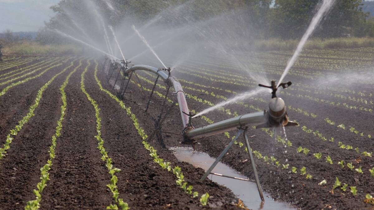 Irrigators may be better off switching out of crops such as canola and cotton into higher value horticulture crops according to Bond University research. File picture