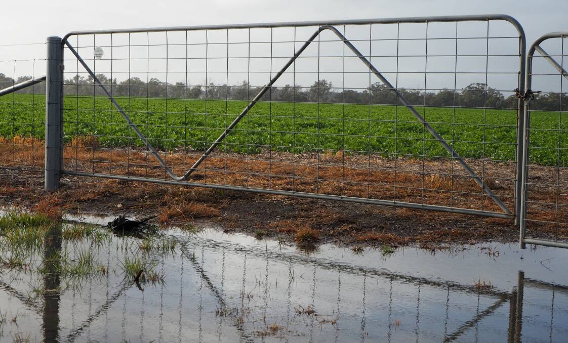 WET WET: After a dry June, many centres across Australia have recorded good rainfall for July and the start of August.