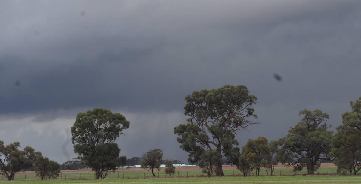 WELCOME DARK: There has been welcome rain over the nation's cropping belt in the past fortnight.