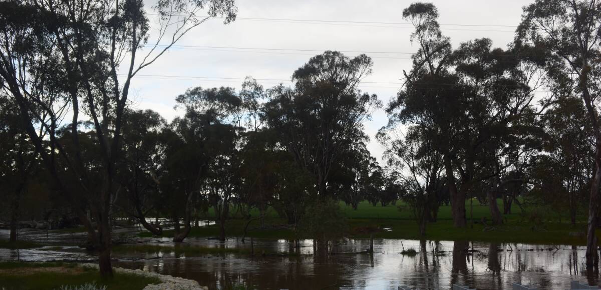NOT ALARMED: Wet conditions such as these captured in Victoria last spring are unlikely this year according to early climate forecasts.