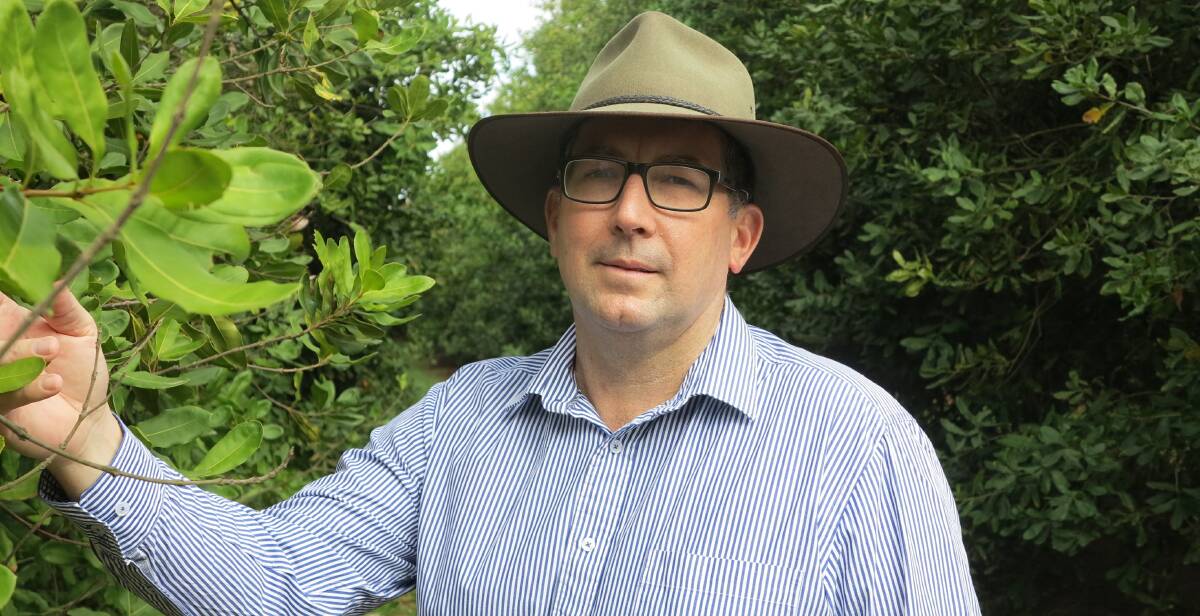 REVIEW NEEDED: Queensland Nationals MP Keith Pitt says the 32.5pc flat rate needs to be reviewed and losing backpackers would hurt a lot of people in agriculture.