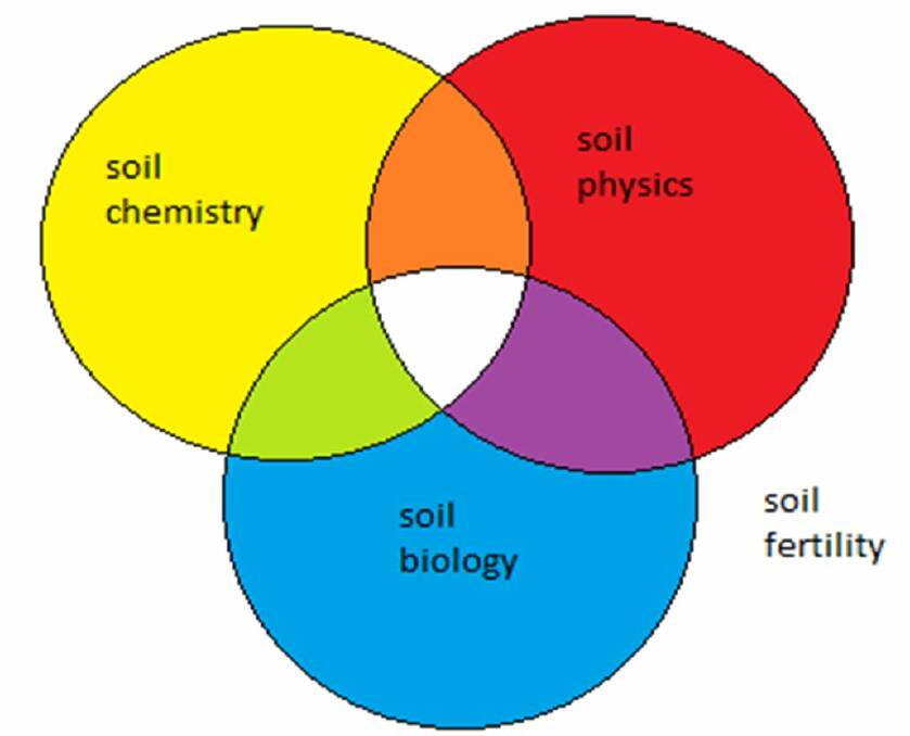FIGURE 1: Interaction between the different elements of soil fertility.