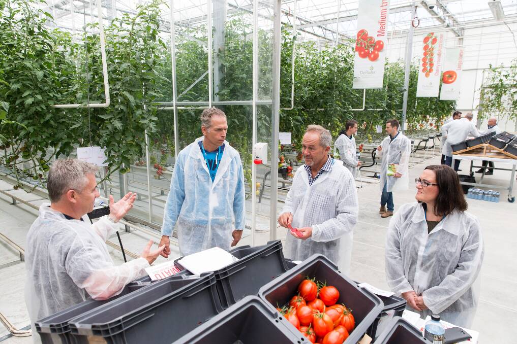 TASTE TEST: Delegates at this year's De Ruiter Living Proof Tomato Innovation Day exploring the new developments in tomato breeding.
