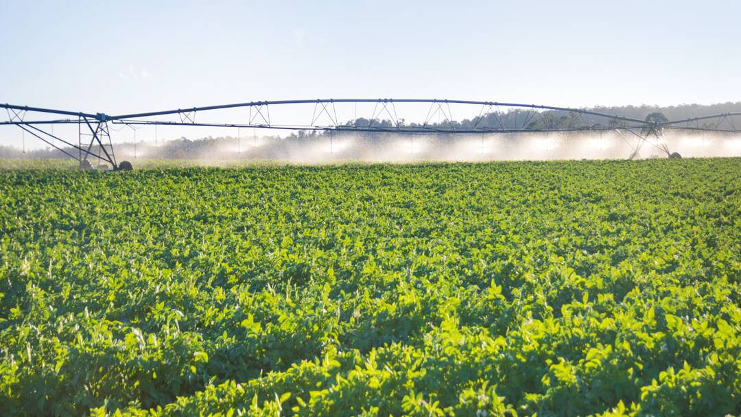 Charged irrigation water could boost food safety