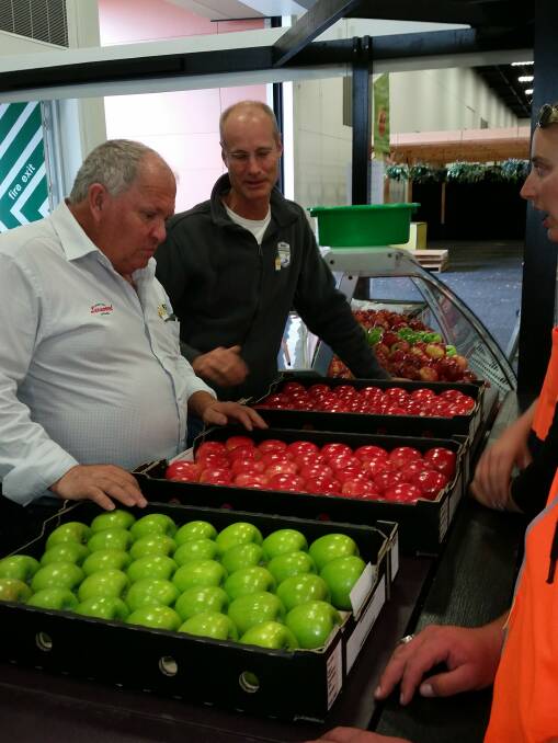 KEEN EYE: Judges for the commercial apple and pear sections Paul James, Lenswood Cooperative and Jeff Sabel, Banana Boys, Mitcham, cast their eyes over the entries.