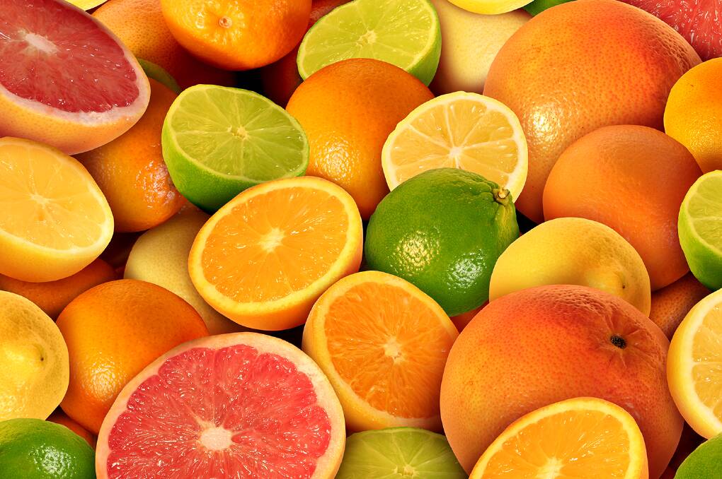 Citrus volumes are expected to exceed 1.2 million tonnes within the next five years, from an estimated volume of 750,000 tonnes only a few years ago. Picture supplied