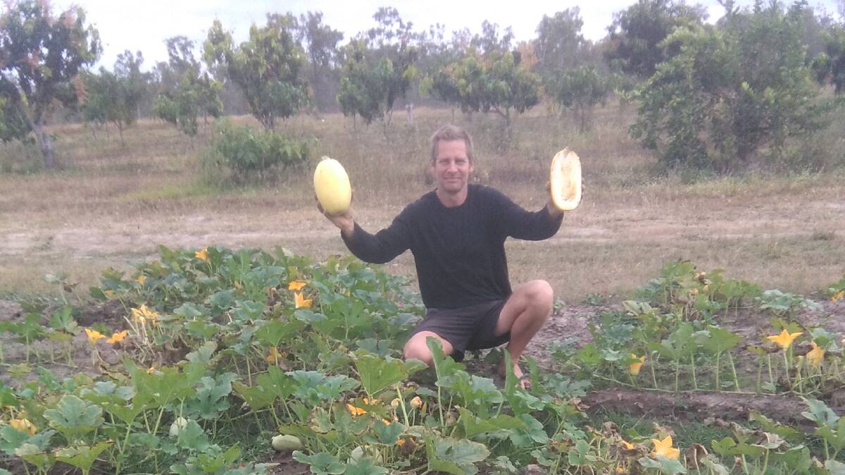 CROP ON: Woodstock farmer, Shane Rost, with a crop of vegetable spaghetti, a product he says could become a popular super food. 