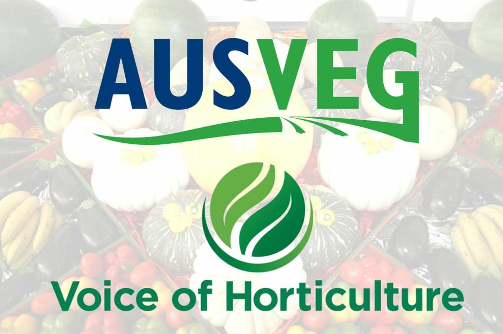 NEW MEMBER: Ausveg has become a member of the Voice of Horticulture to help lift the united representation of the horticulture industry.