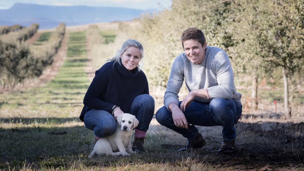TV GIG: Mole Creek truffle farm manager Henry Terry became a national heart-throb on MKR last season and now is competing on the show with sister Anna.
