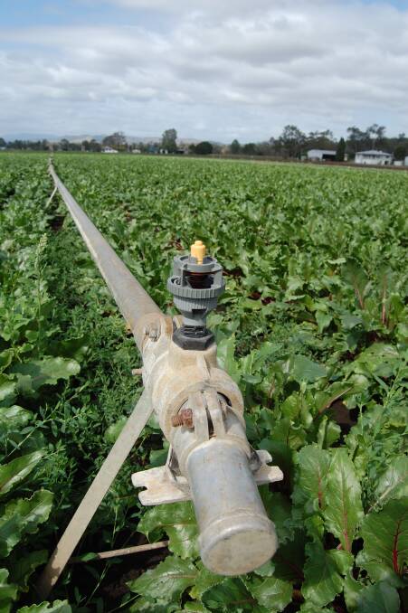 ADD WATER: According to a Rabobank report on global fresh produce, Australia will need more investment into fruit and vegetable infrastructure, such as irrigation, to capitalise on opportunities. 