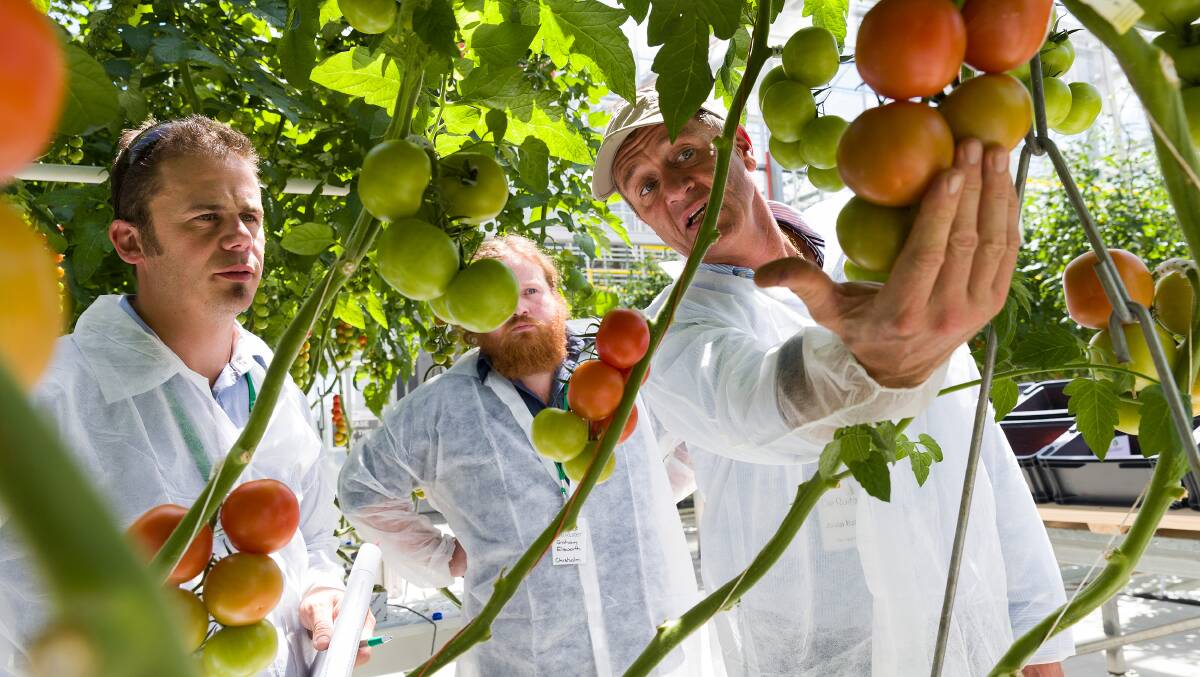 NEW IDEAS: Australian horticulture could become a leader in innovative thinking within the greater agriculture sector. 