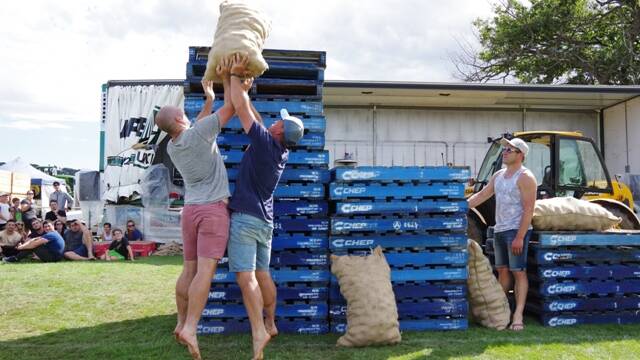 UP & ON: Throwing the 50kg bag of potatoes onto a stack of pallets. 