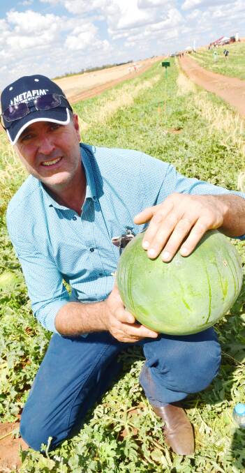 LOOKING UP: Australian Melon Association chair Mark Daunt says the industry has come through a rough patch.