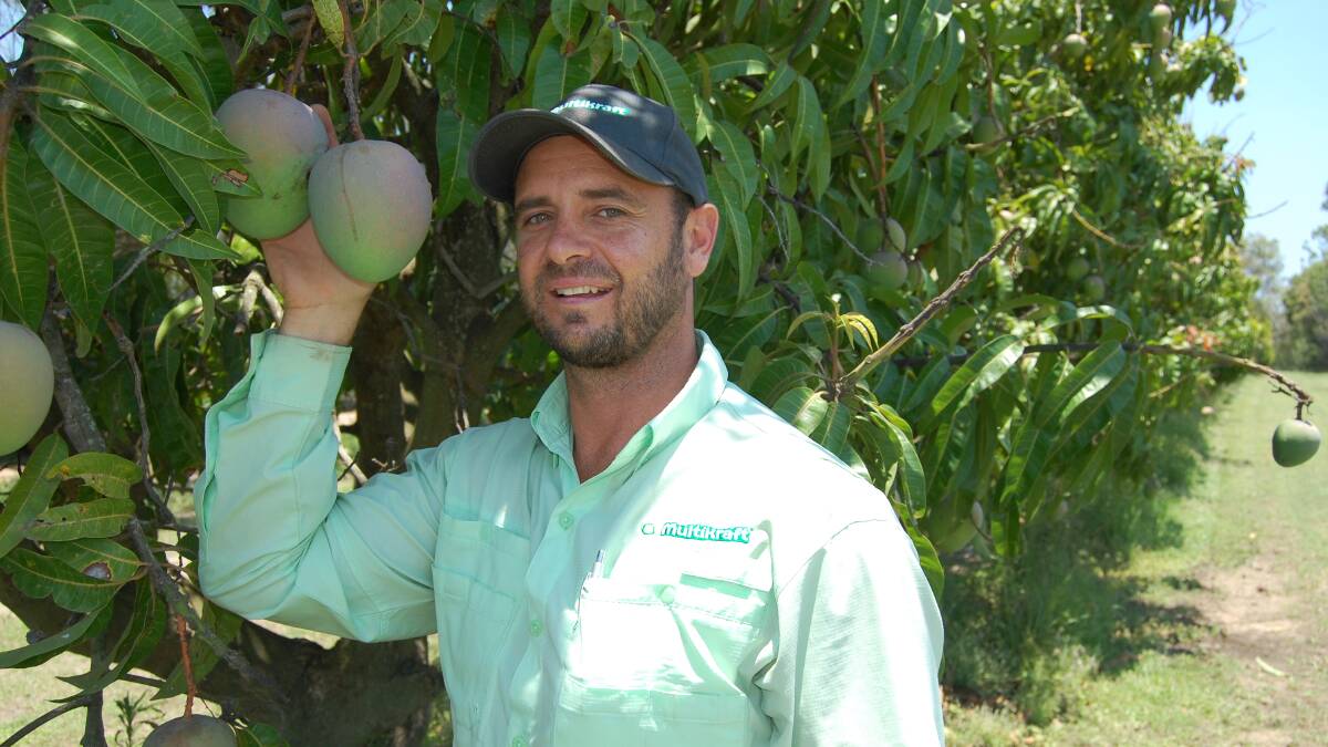 BRANCHING OUT: Multikraft Probiotics Australia chief executive officer Conor O'Brien inspects mangoes at the new national headquarters, the Multikraft Australian Biotech Agricultural Centre of Excellence (BACE) in Bundaberg, Qld. 