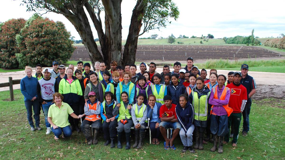 WILLING WORKERS: The largely international workforce at Bulmer Farms, Lindenow, Victoria, which embraces the multicultural mix to keep the business going.