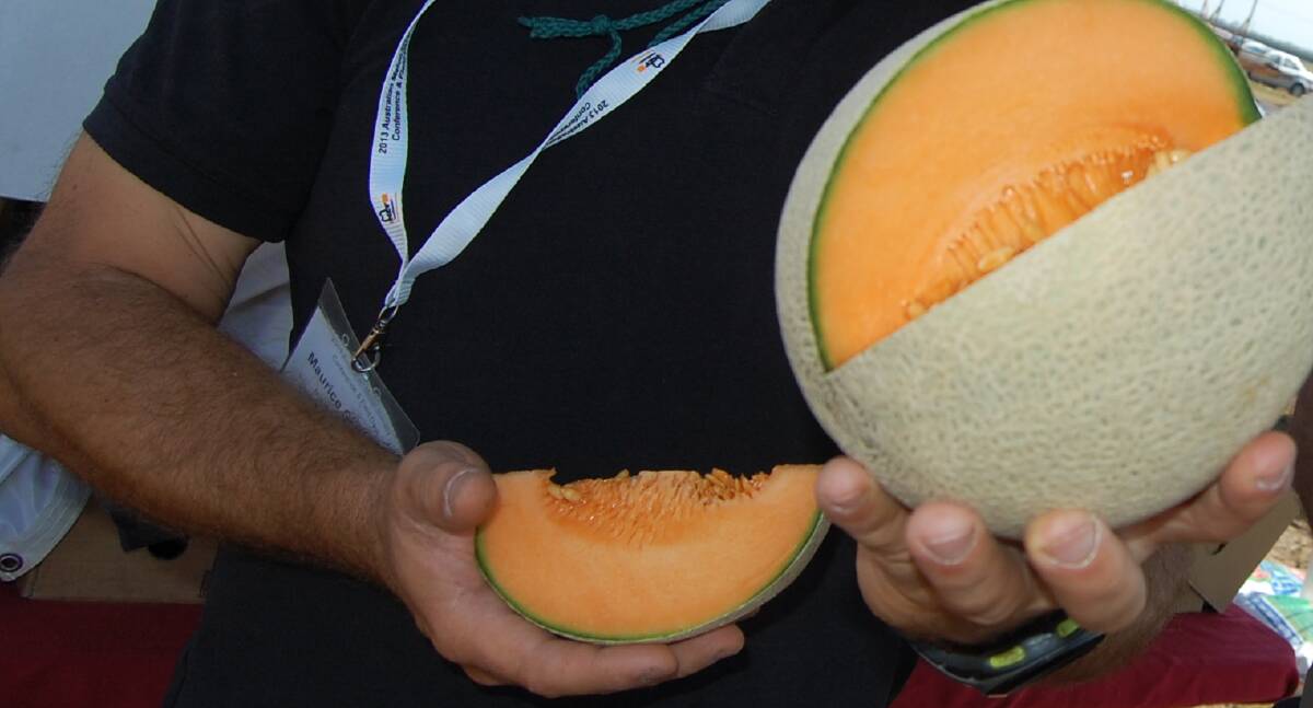 CONCERNS: Some melon growers in the Riverina region are concerned about the long-term impact the recent listeria outbreak will have on the melon industry.