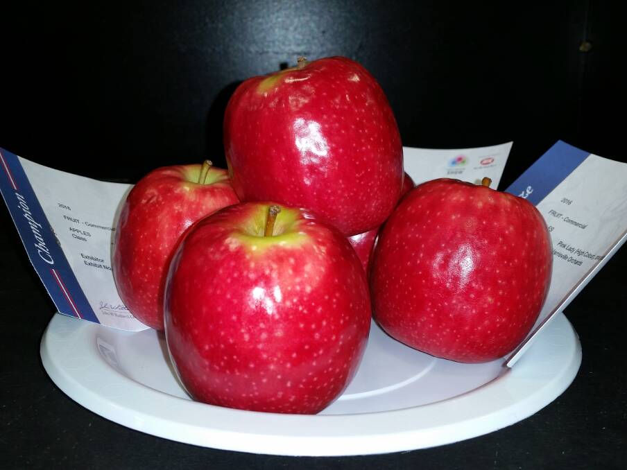 TOP PLATE: A plate of Pink Lady apples from Harrisville Orchards which helped it win the title of most successful exhibitor. 