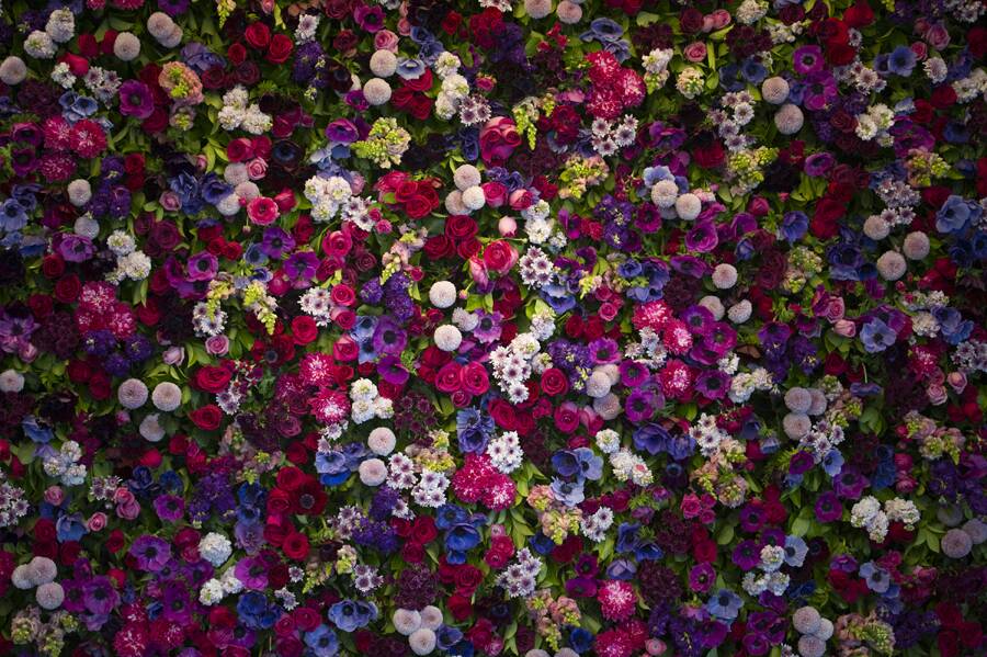 REAL COLOUR: The stunning and carefully crafted backdrop for the recently held NSW Annual Flower Growers Ball at Dockside, Darling Harbour.