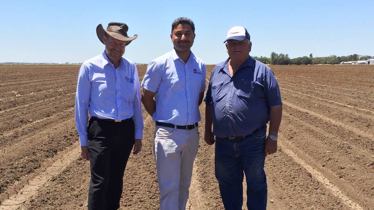 IN THE FIELD: Ian Hamilton, NSW Food Authority, SP Singh, NSW Agriculture and melon grower Roy Schirripa, Whitton, looking at food safety risk assessments in the melon field. 