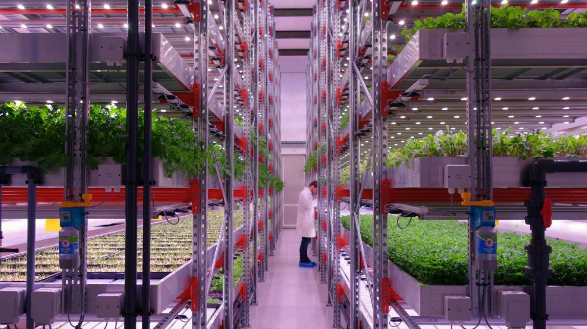 WELL USED: Vertical farms can utilise vertical space, such as here at GrowUp in the United Kingdom. Image Courtesy of Association for Vertical Farming 