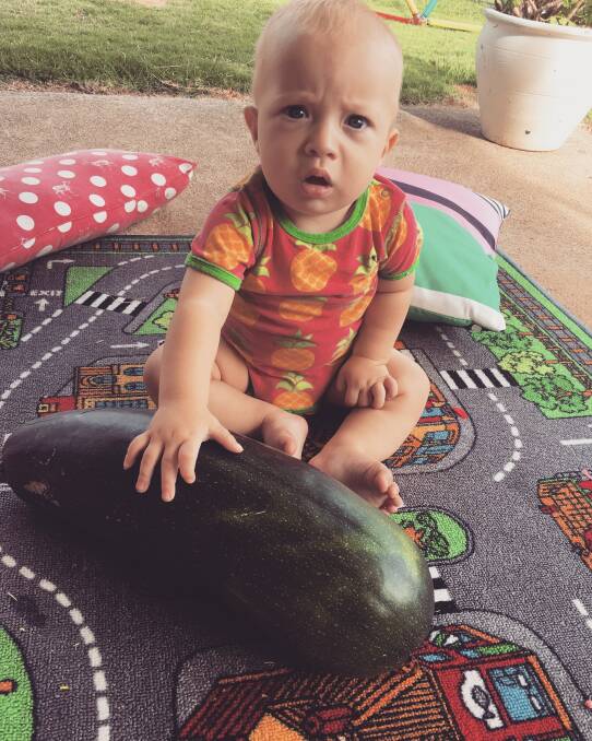 MONSTER MEAL: Seven-month-old Oscar Stanton-Taylor was pretty impressed with this amazing zucchini.