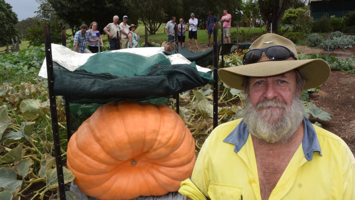 Gary Smith, Doubtful Creek via Kyogle with one of his 'decorative' pumpkins, to place around the sub-tropical champion on show January 21 at Lismore.
