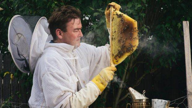 Cormac Farrell at his home in Evatt with one of the beehives he will be moving to Parliament House. Photo: Rohan Thomson