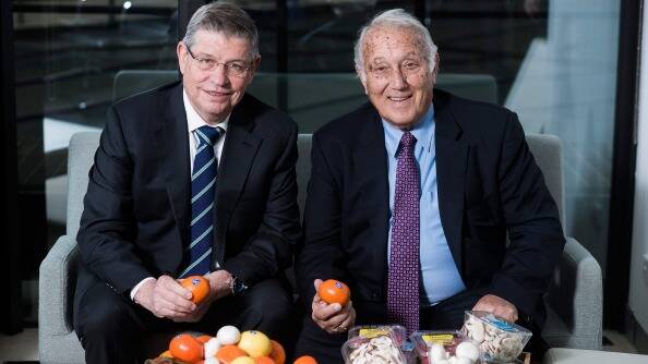 Costa Group chief executive Harry Debney, pictured with company founder Frank Costa, is considering a big avocado deal. Photo: Josh Robenstone