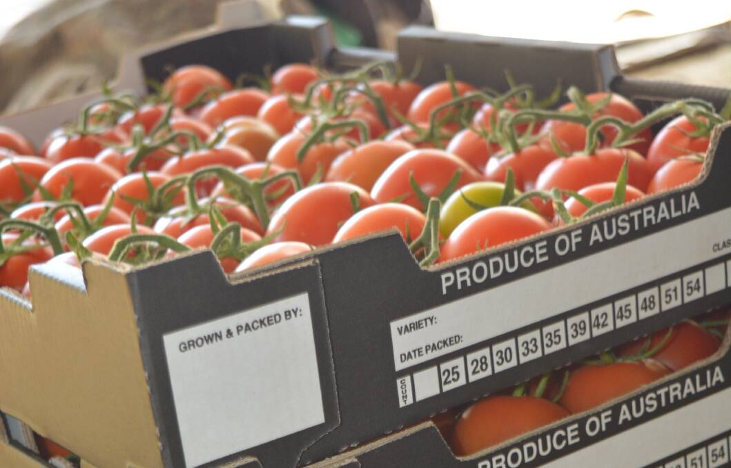 High tomato prices should 'halve' by July