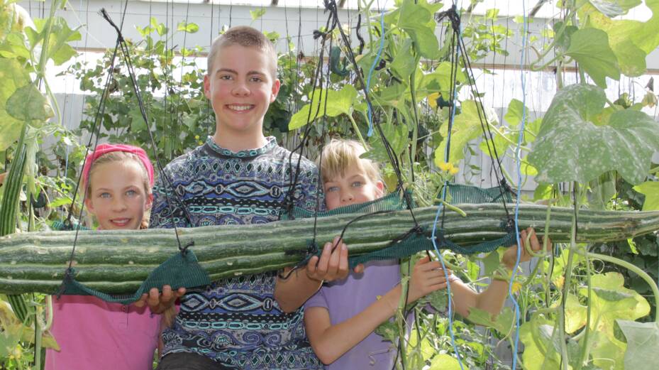 RECORD: Keegan Meyers posed with the record breaking cucumber along with his twin sisters Tamsin and Petrea.