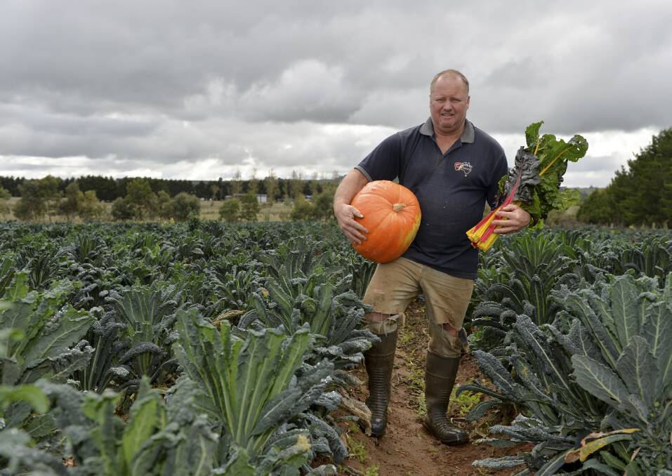 FRESH APPROACH: Spring Creek Organics operator Dave Tatman turned to farmers' markets from wholesale six years ago. He sells more in Bendigo and Melbourne than Ballarat. Picture: Dylan Burns