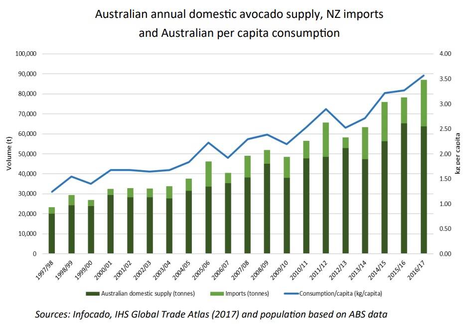 JUST OUT OF REACH: Demand continues to just outweigh supply. Image: Avocados Australia