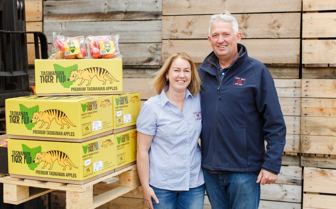 Apples grown by Tasmanian orchardists Andrew and Leeanne Scott are Australia’s first apples to feature on the Chinese website Fruitday.com
