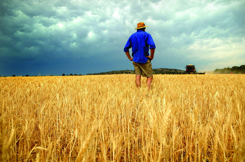 AT RISK: Australian climate research is at risk of falling behind, threatening farm sector competitiveness, scientists warn. Photo by Louise Kennerley.