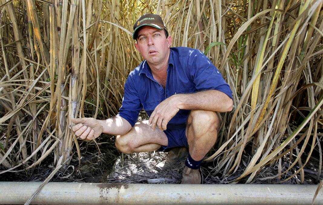 POWER COST: Bundaberg, Queensland canegrower Dean Cayley says his $200,000 investment in energy efficient, low pressure irrigation has been wiped out by rising power costs.
