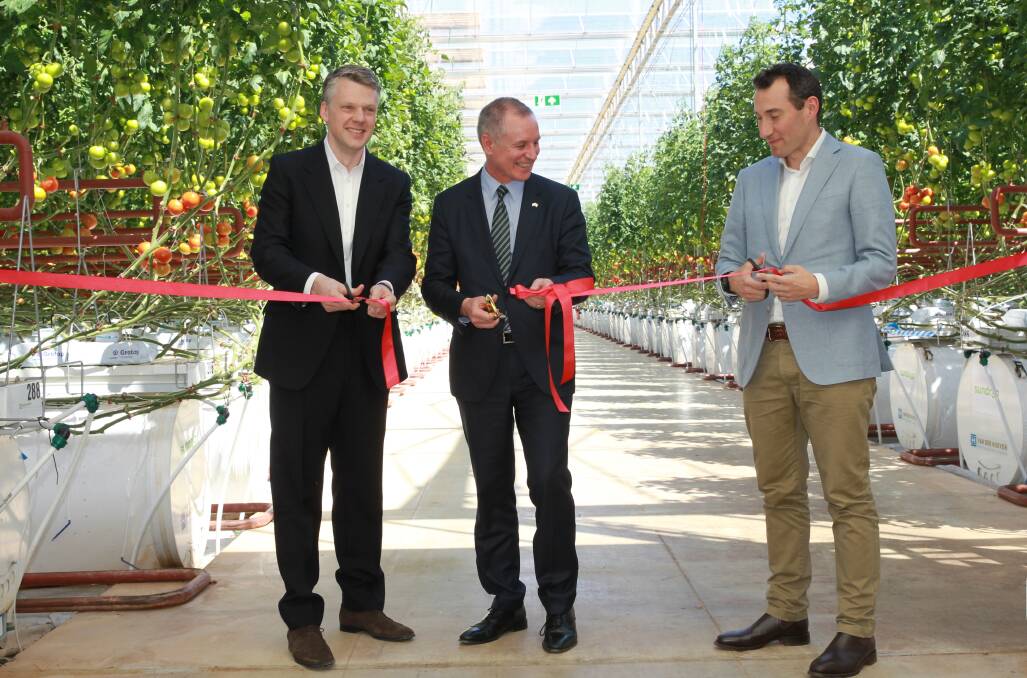 OPEN: Sundrop Farms CEO Philipp Saumweber, South Australian Premier Jay Weatherill, and Coles Merchandise Director Chris Nicholas at today's Official Opening. PHOTO: PRR.