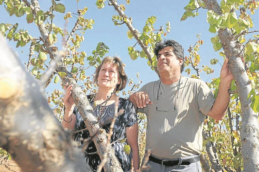 Apricot Grove owners Charlie and Hilke Ppiros want 24-hour quarantine stations on SA borders.