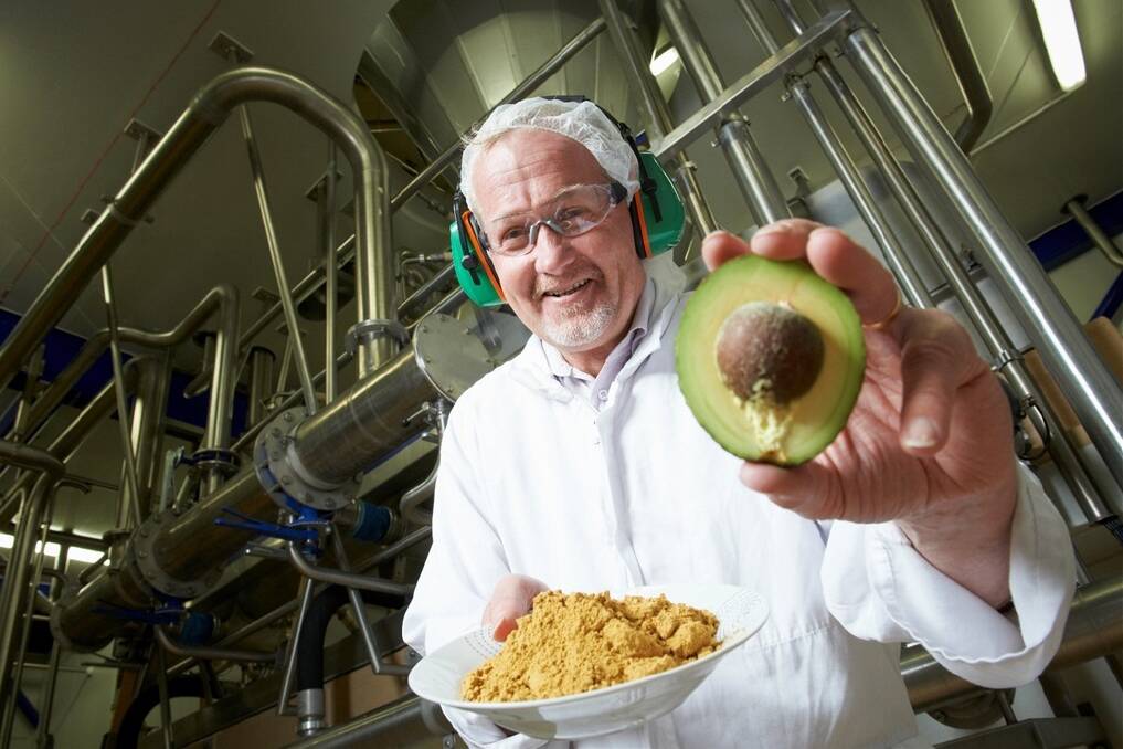 FoodWaikato plant manager Dave Shute shows off some of the new avocado powder. 