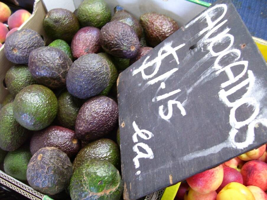 Avocados Australia is questioning the lack of consultation over levy structures from the newly formed Horticulture Innovation Australia. 