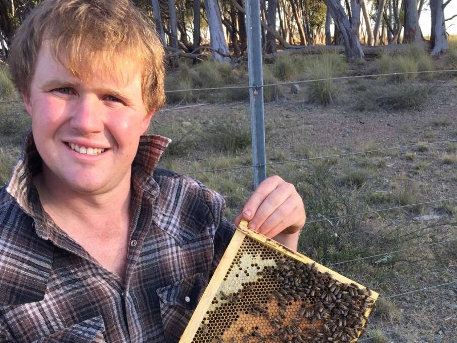 The Honey Bee and Pollination R&D Program’s James Kershaw says a three year study into small hive beetle-attracting hive odours and fermented hive products aims to find something that smells more attractive and can be used to lure the pests into an external trap rather than them infesting feral or managed bee hives. 