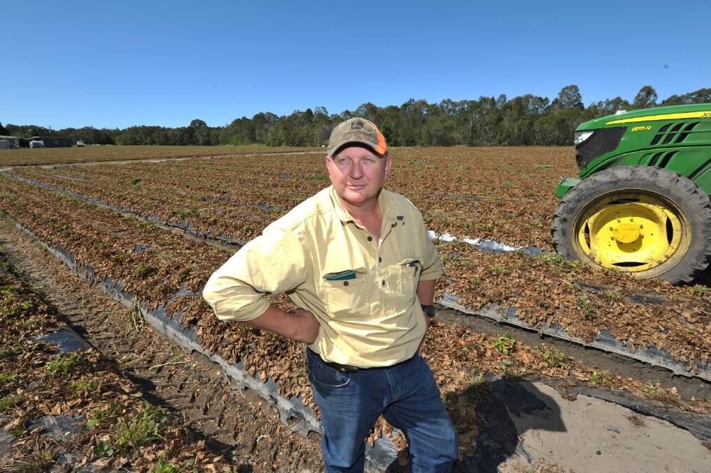 Beerwah farmer Terence Roy says major weather events have made it extremely difficult to farm. 