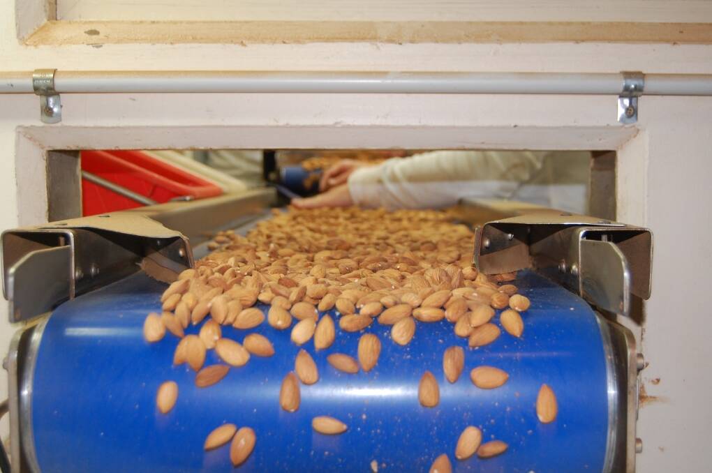 Australia has become the second largest global exporter of almonds. 