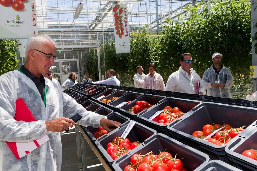 Tomato Innovation Open Day delegates were treated to taste testing of new varieties.