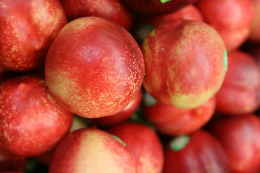 Dept Ag considers Chinese nectarines